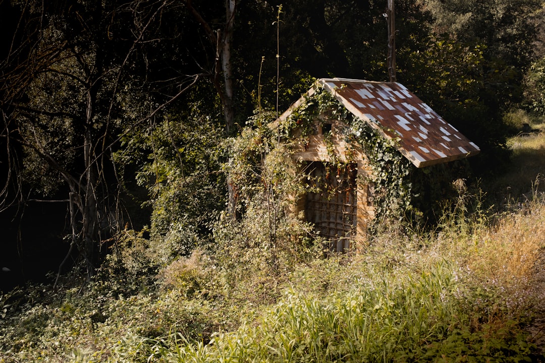 Navigating the Complex World of Permitting and Zoning Laws for Tiny Homes: A Comprehensive Guide